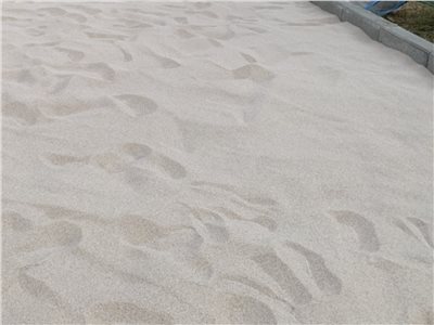白沙